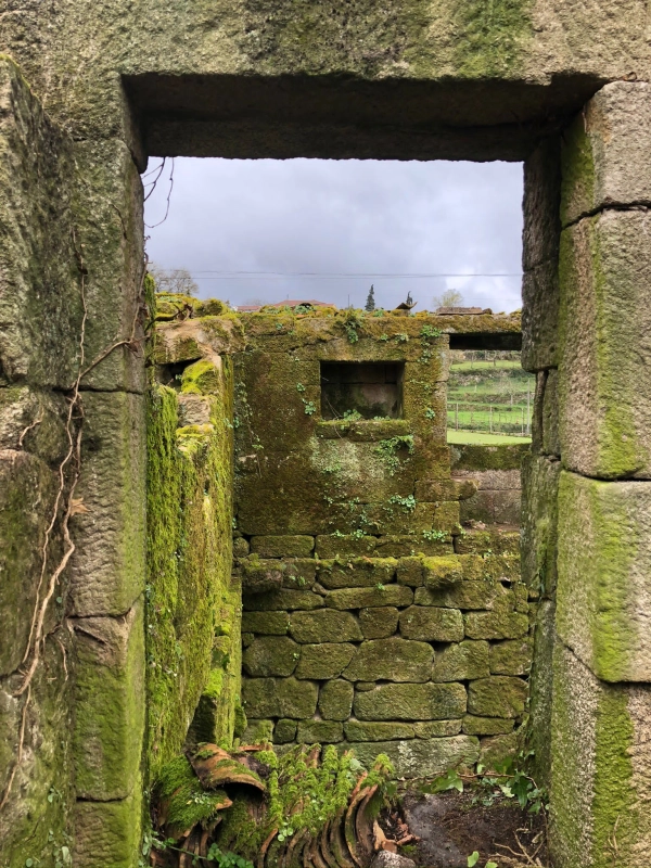 reabilitação ribeira de pena
 - Image 3